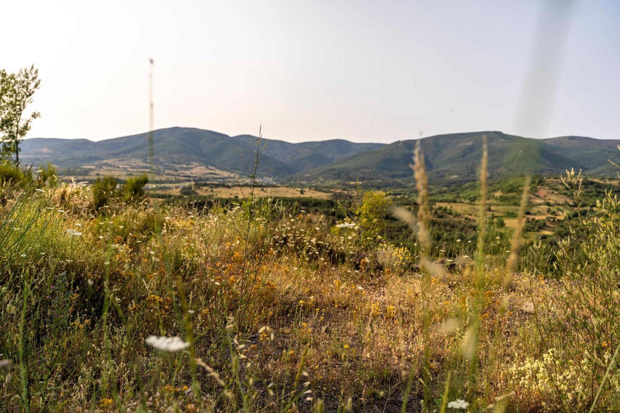 Casa De Turismo Rural Sardom3 Bembibre  Zewnętrze zdjęcie